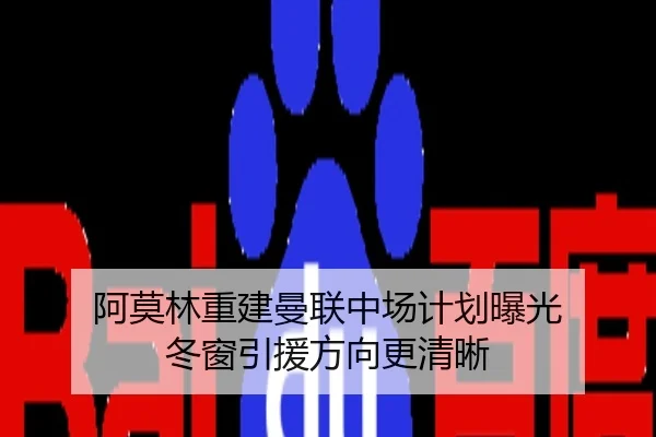 阿莫林重建曼联中场计划曝光 冬窗引援方向更清晰